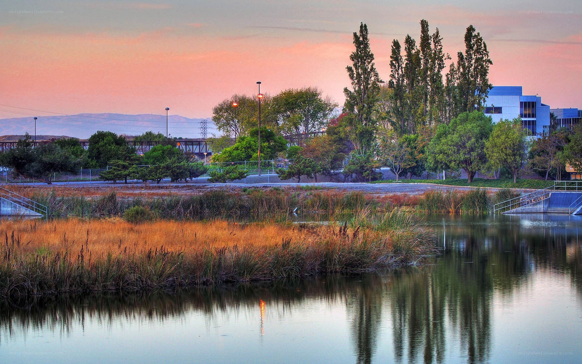sunset at the wetlands park