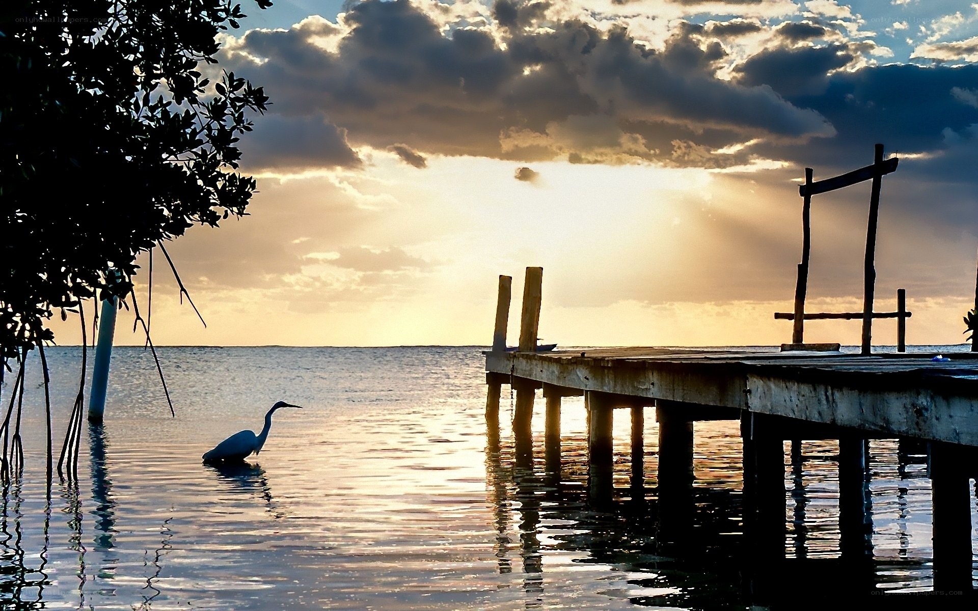 Sunset at the wooden dock