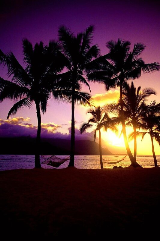 sunset at tropical beach