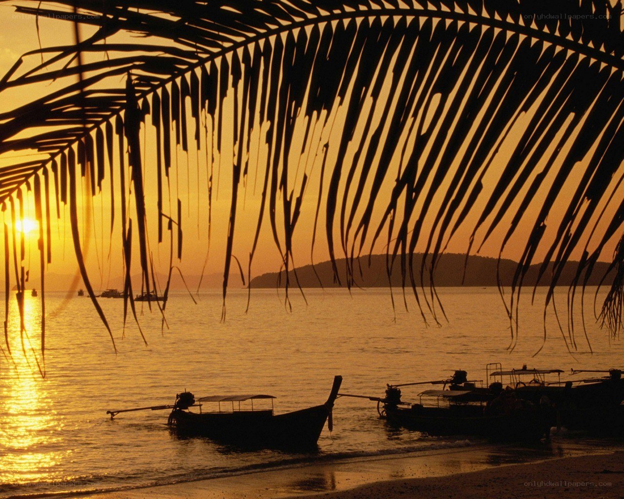 sunset at tropical beach