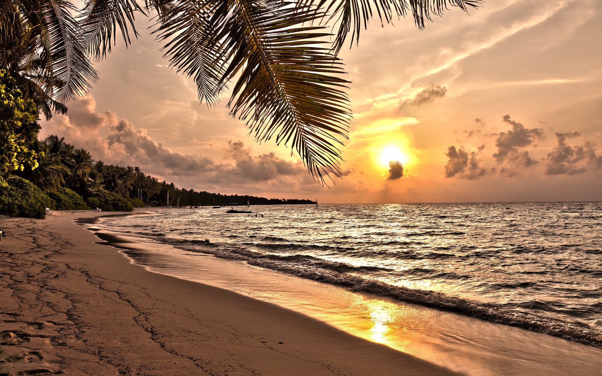 Sunset at tropical beach