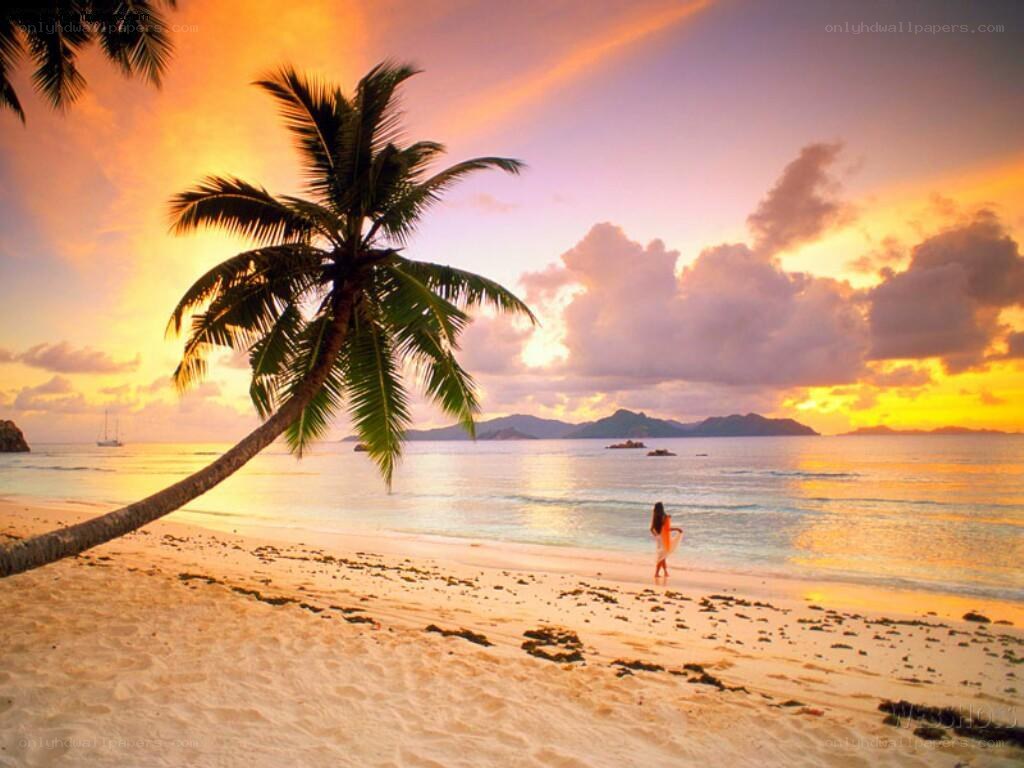 Sunset at tropical beach