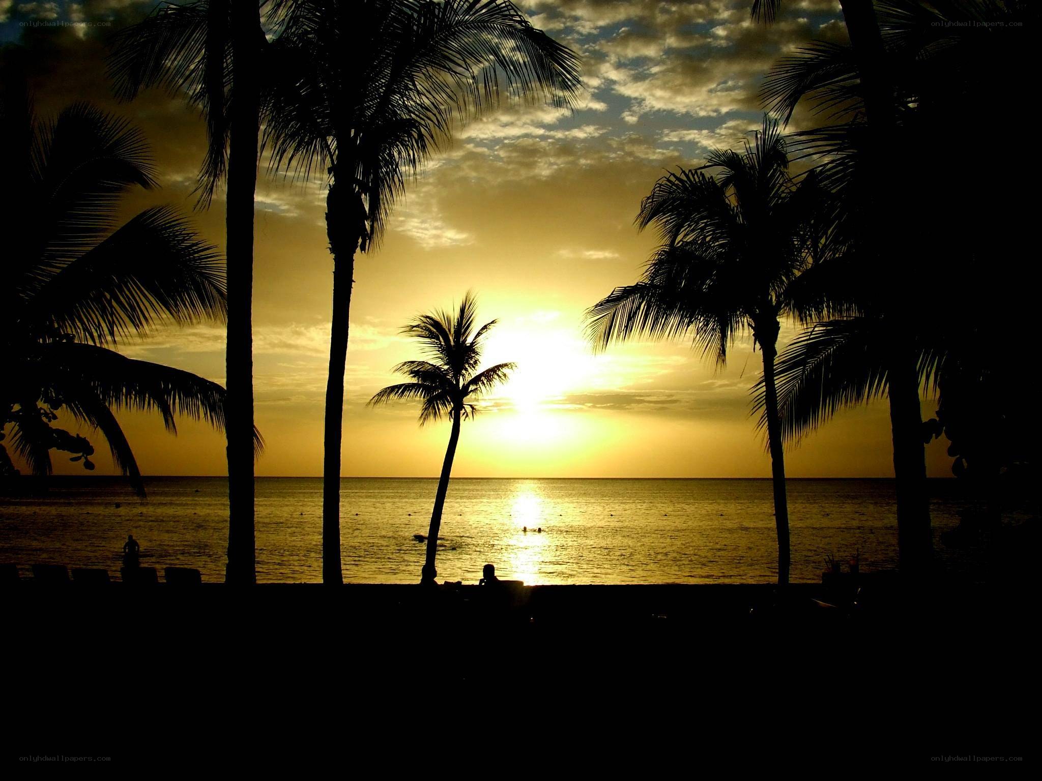 sunset at tropical beach