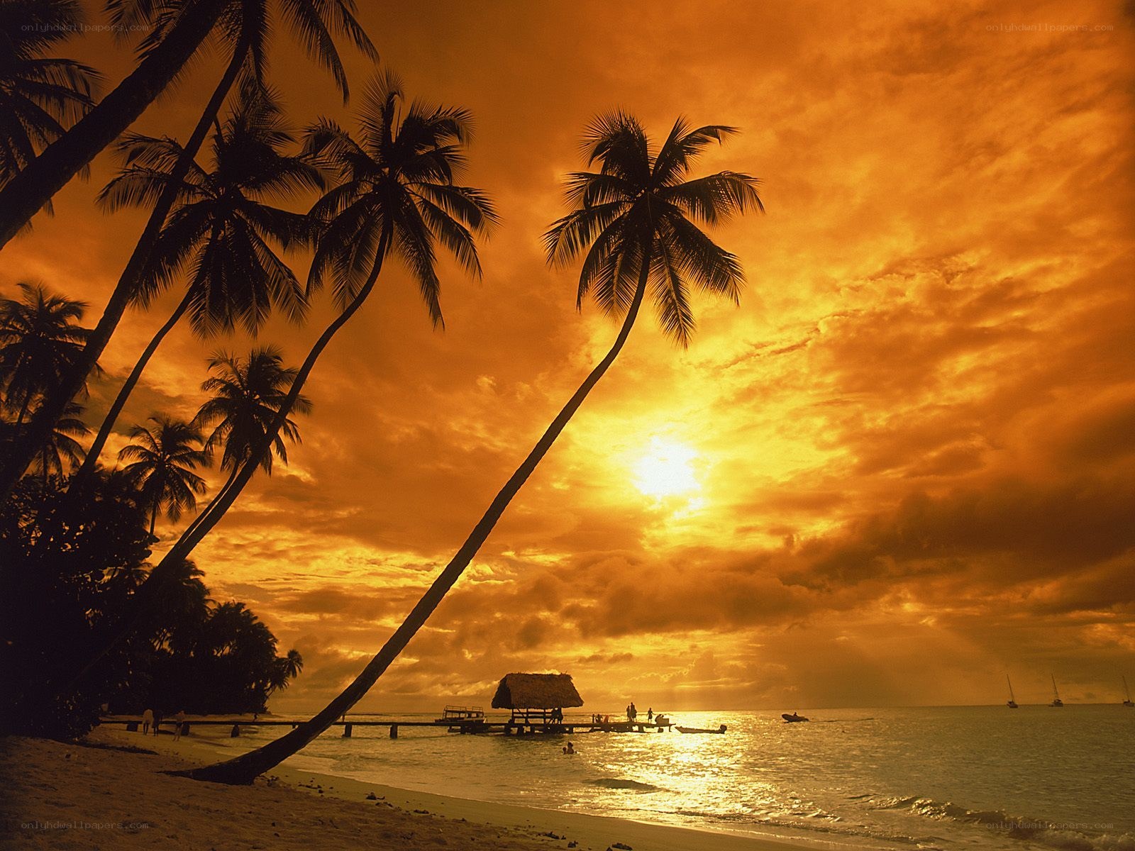 Sunset at tropical beach