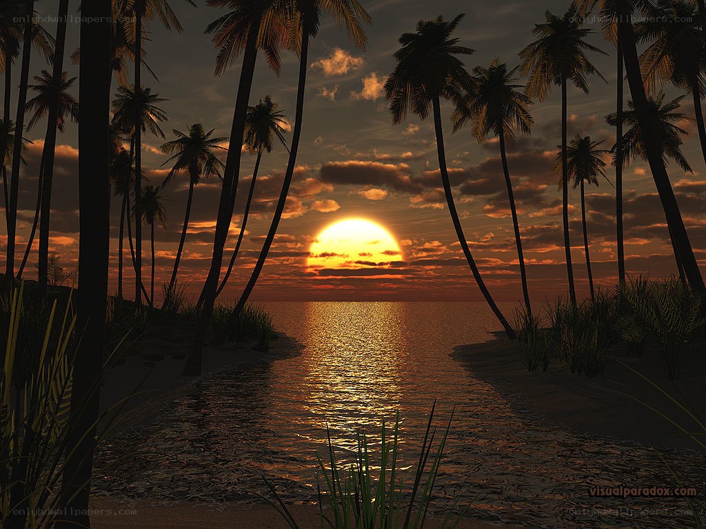 Sunset at tropical beach