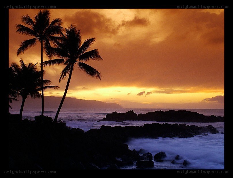 sunset at tropical beach