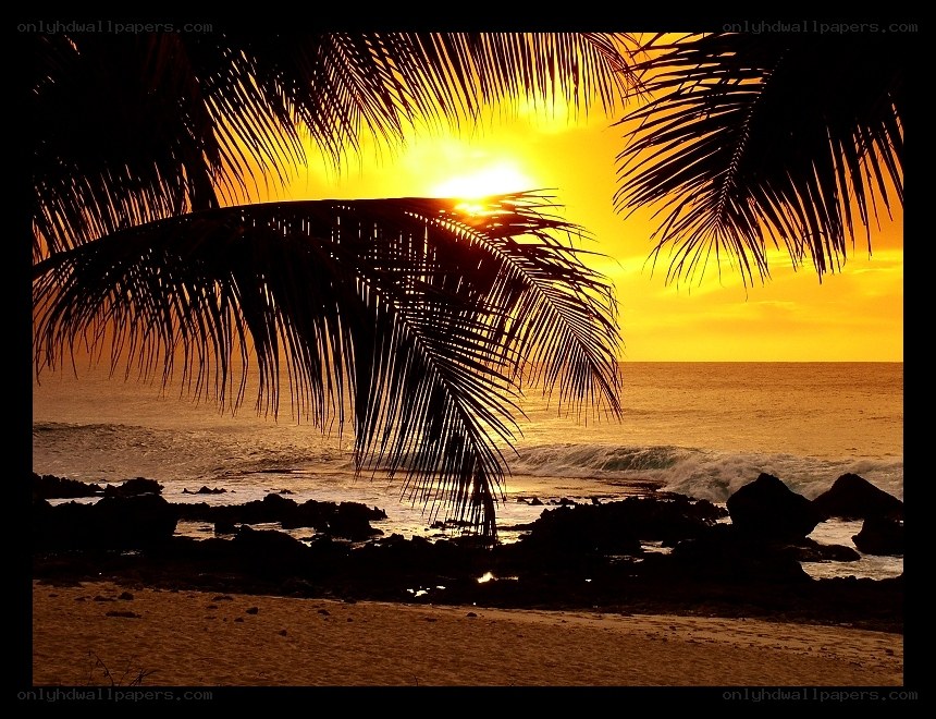 sunset at tropical beach
