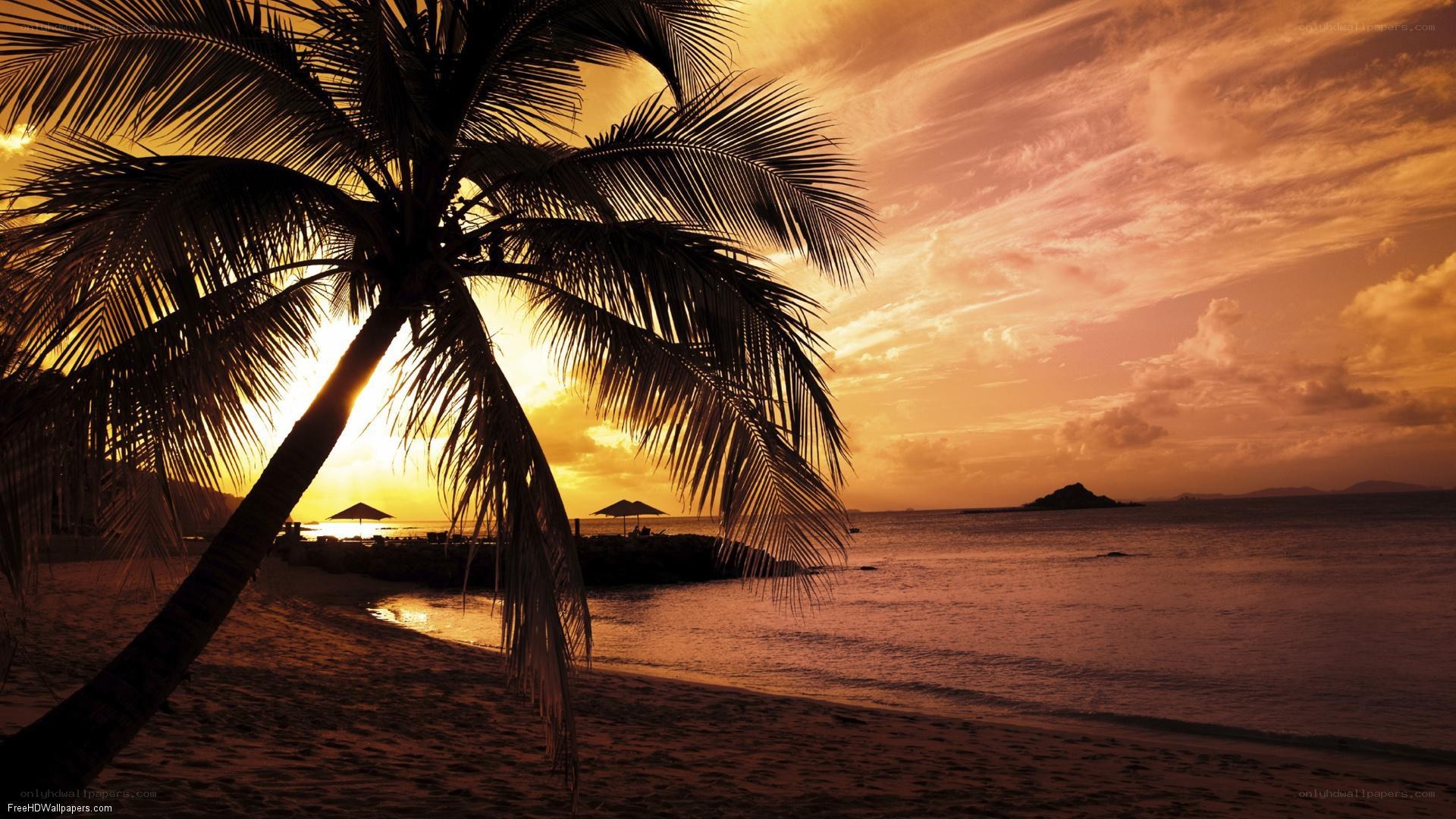 sunset at tropical beach