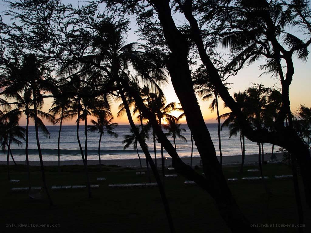 sunset at tropical beach