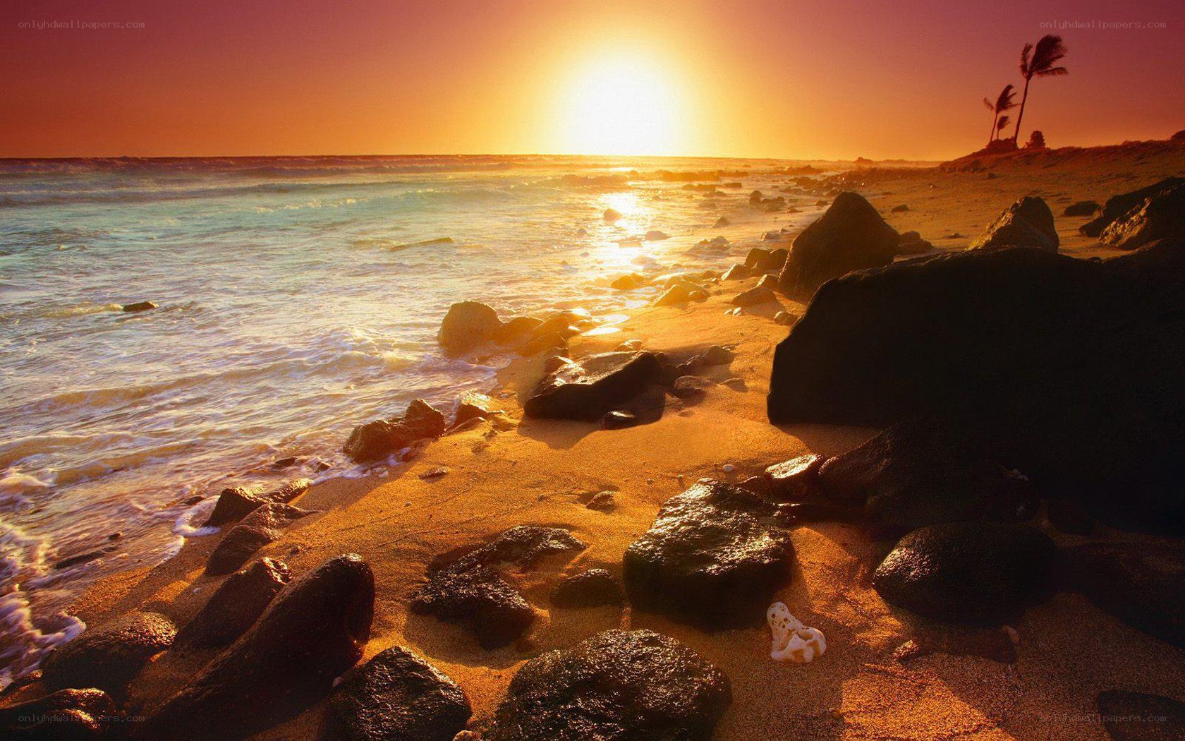 sunset at tropical beach