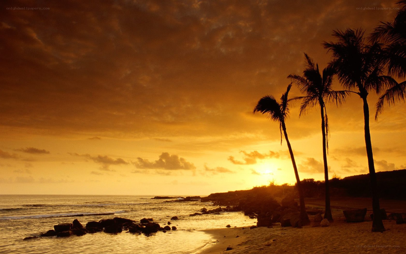 sunset at tropical beach