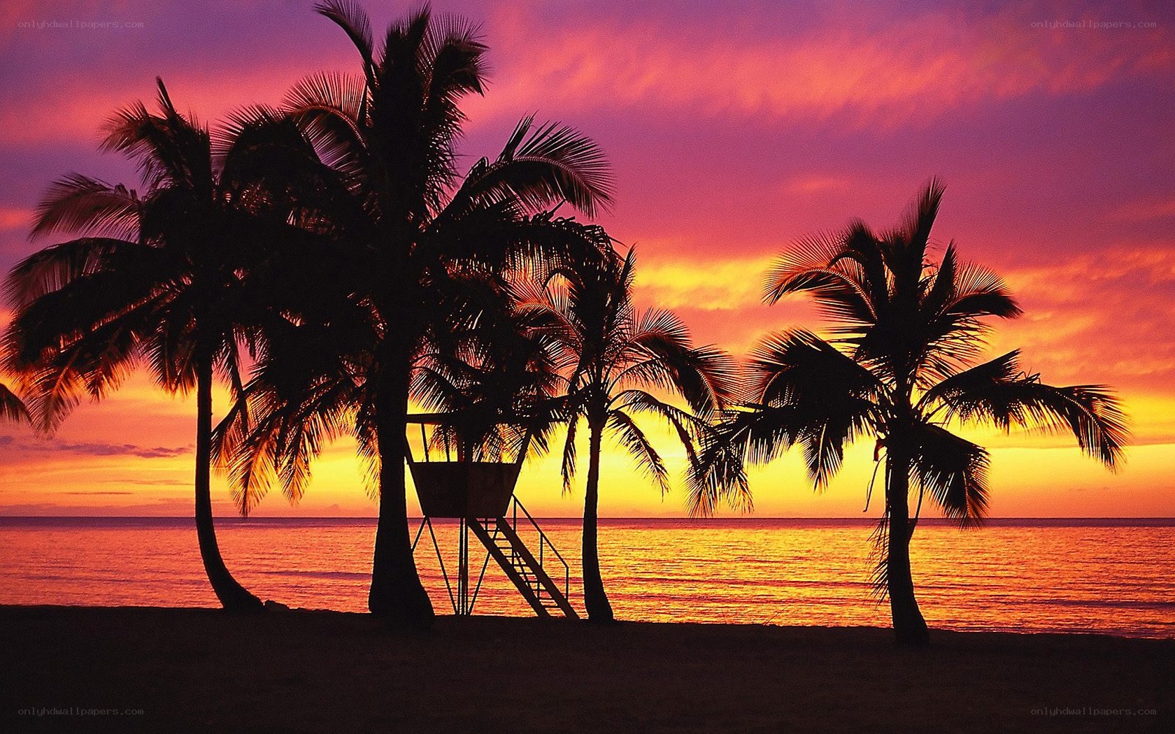 sunset at tropical beach