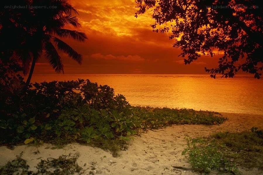 sunset at tropical beach