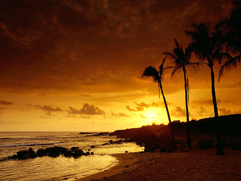sunset at tropical beach