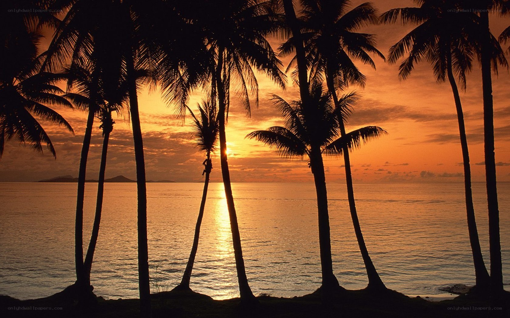sunset at tropical beach