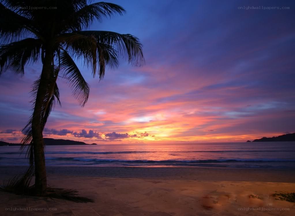 sunset at tropical beach