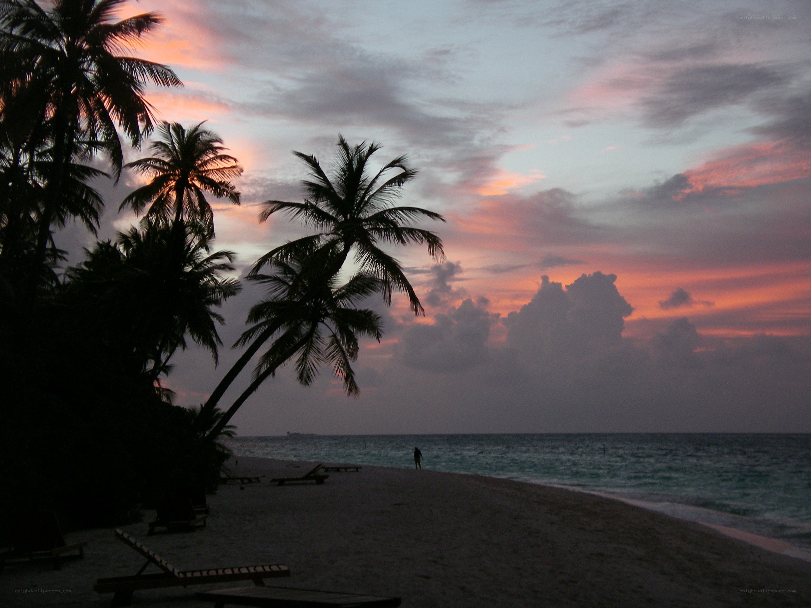 sunset at tropical beach