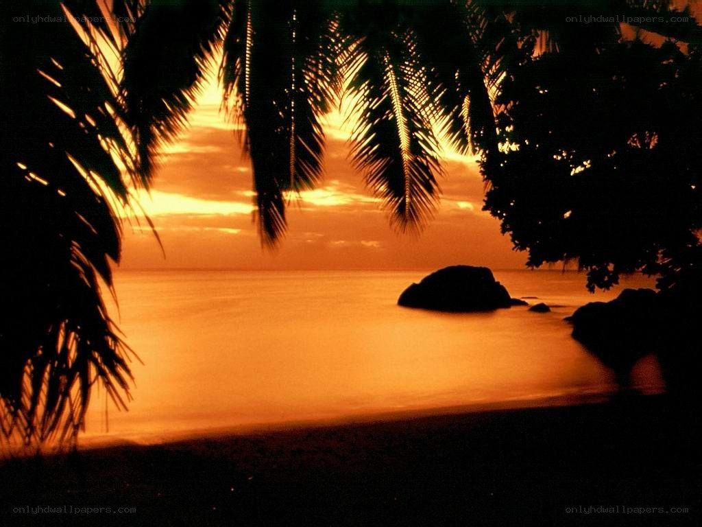 sunset at tropical beach