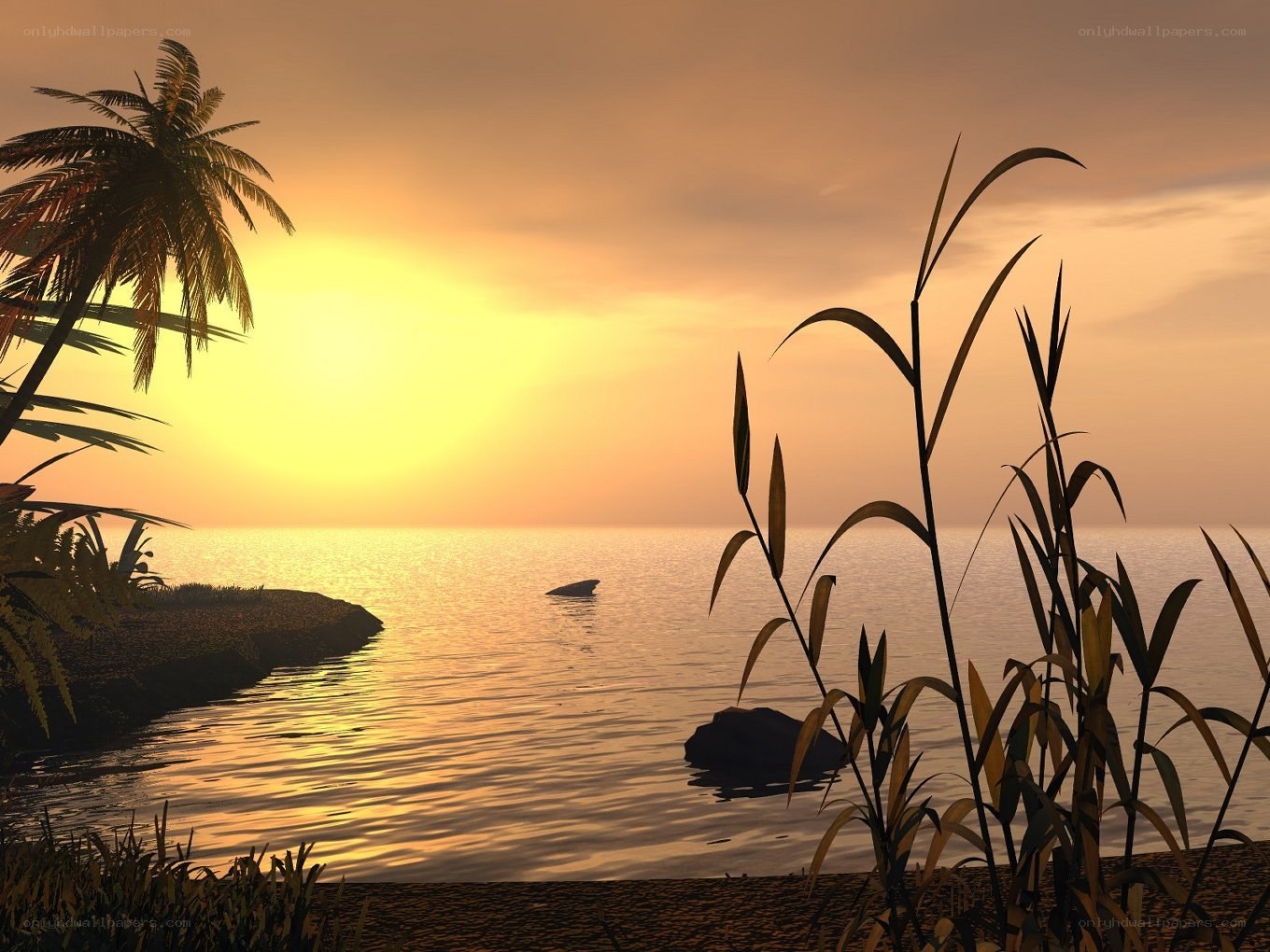 sunset at tropical beach