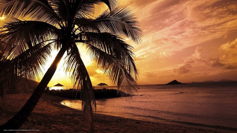 sunset at tropical beach