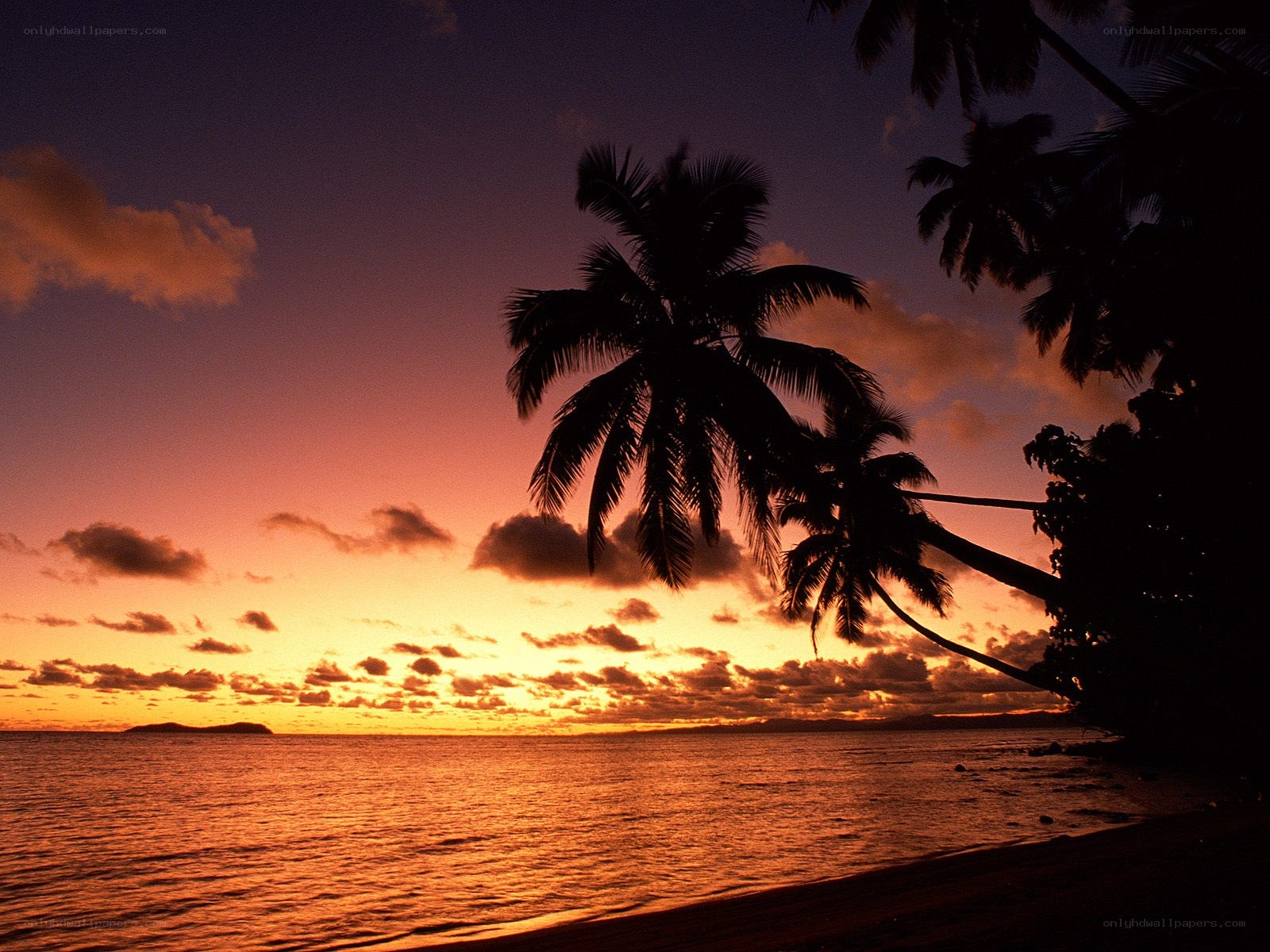 sunset at tropical beach