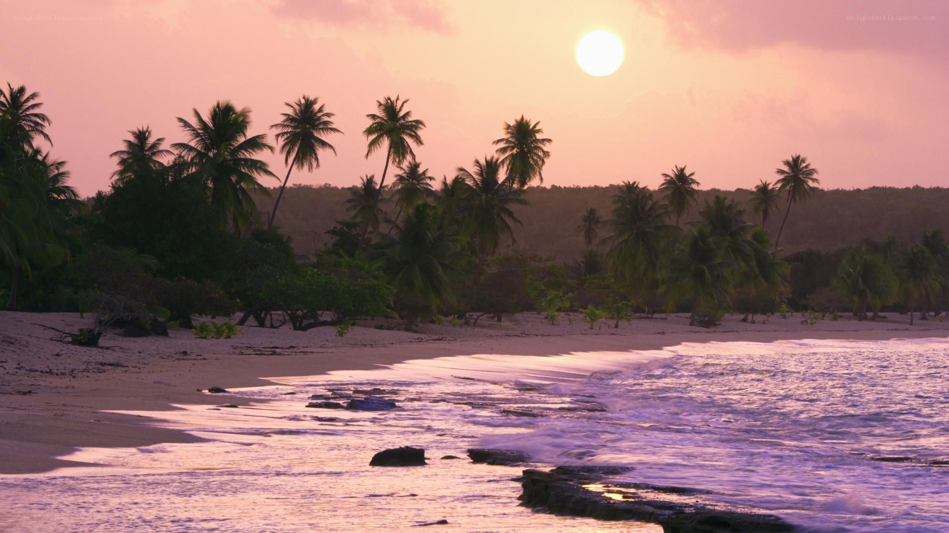 sunset at tropical beach