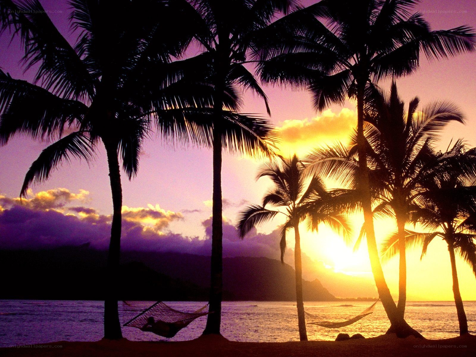 Sunset at tropical beach