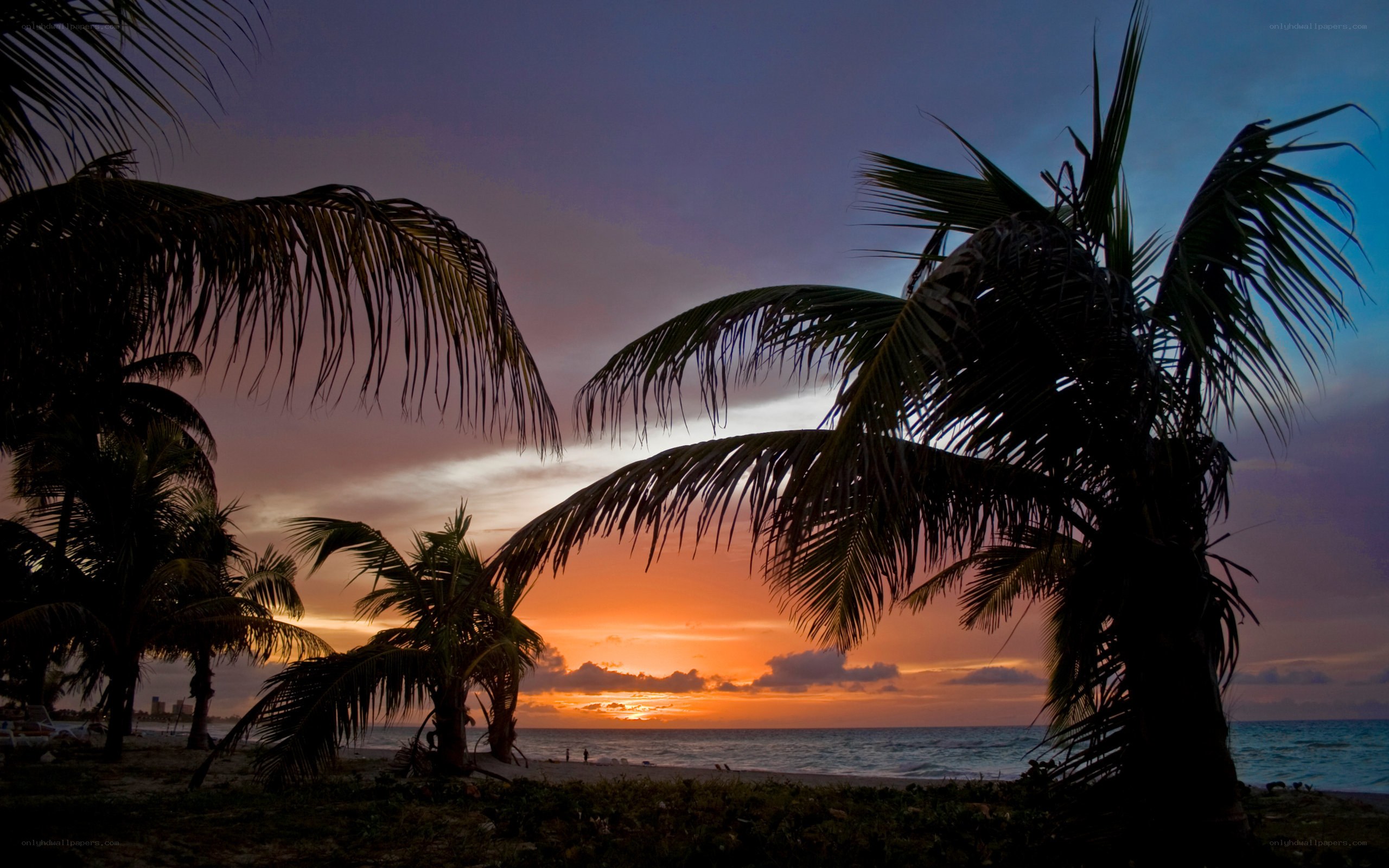Sunset at tropical beach