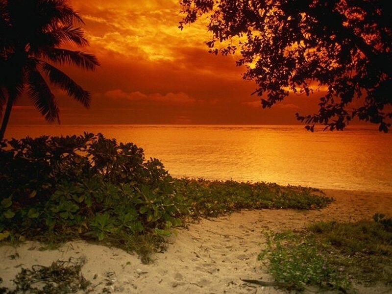sunset at tropical beach