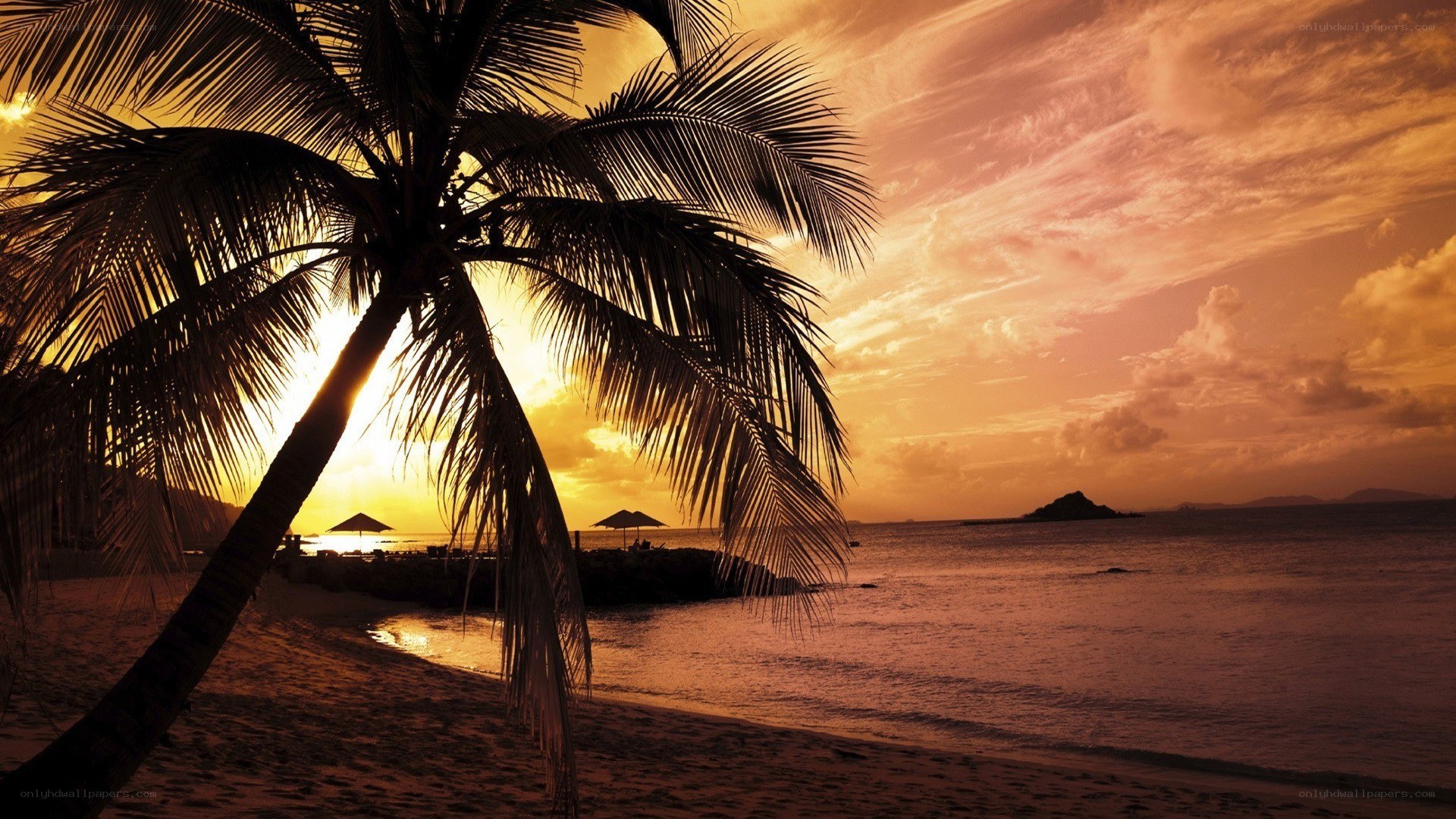 sunset at tropical beach
