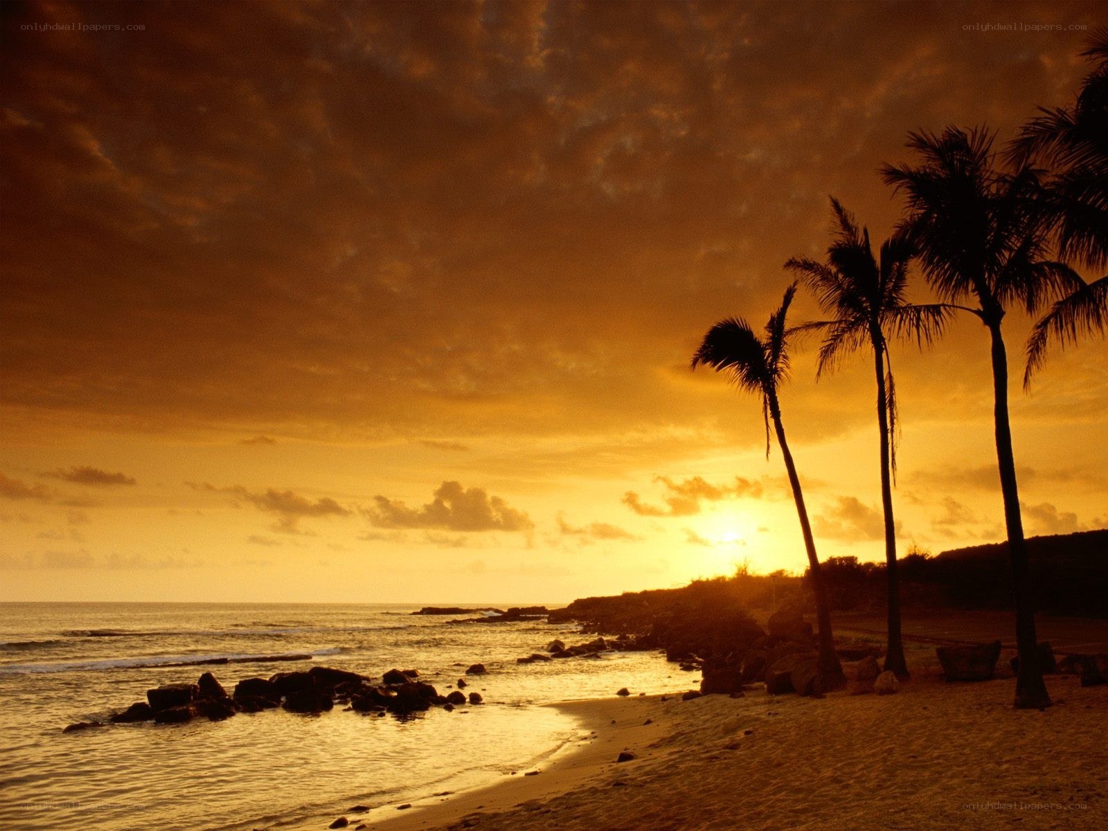sunset at tropical beach