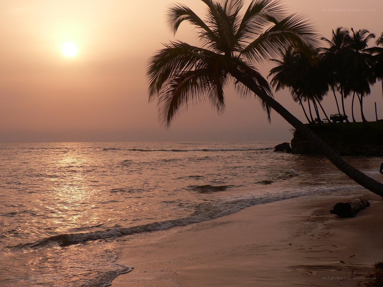 sunset at tropical beach