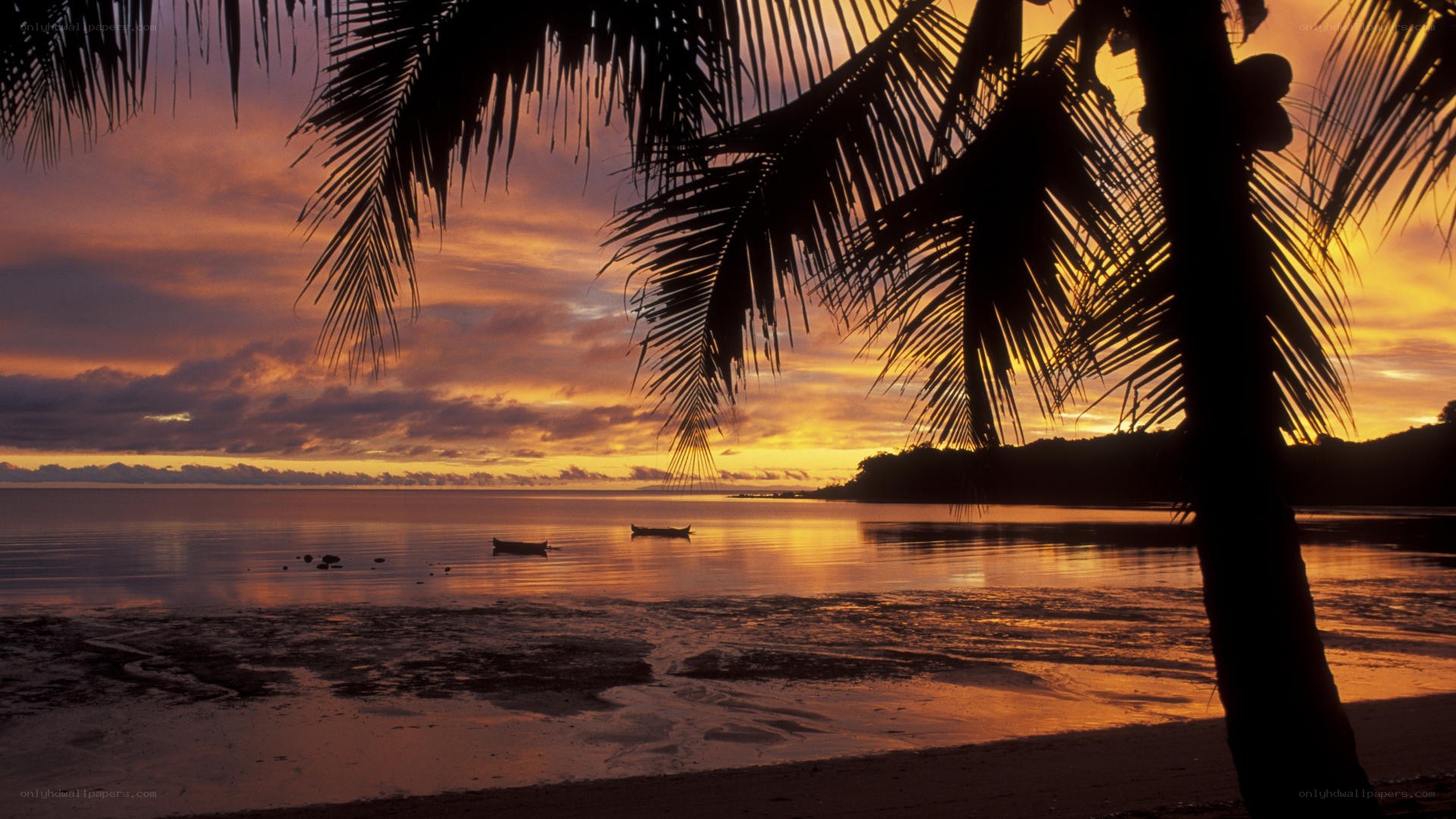 sunset at tropical beach