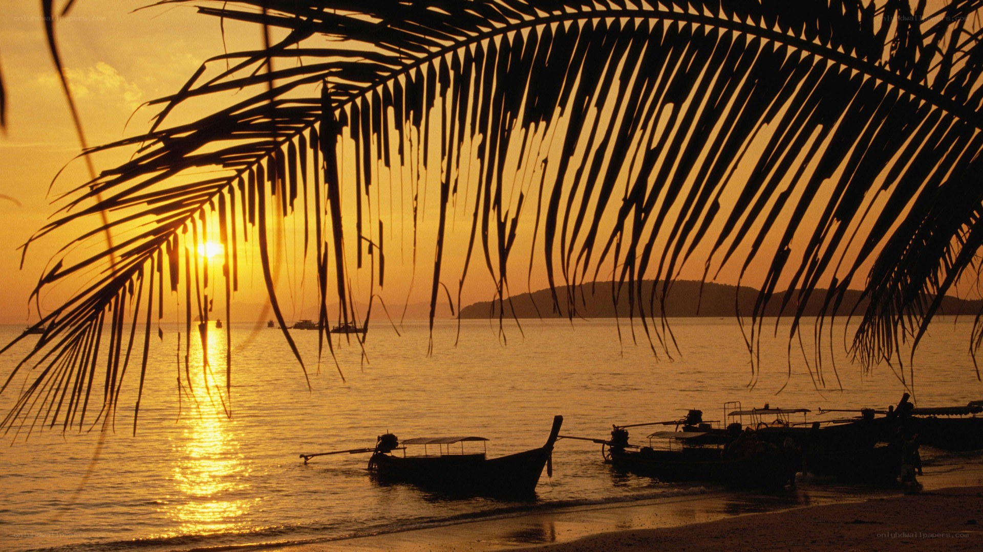 sunset at tropical beach