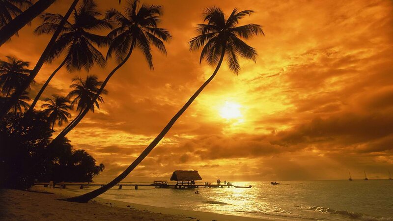 sunset at tropical beach