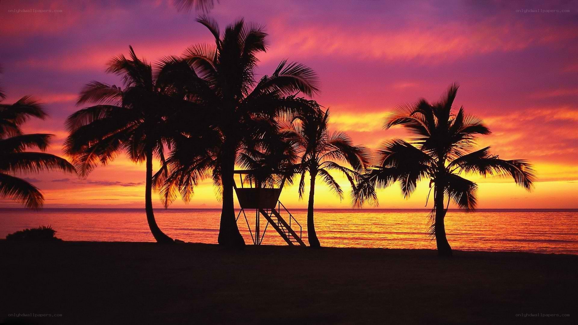 sunset at tropical beach
