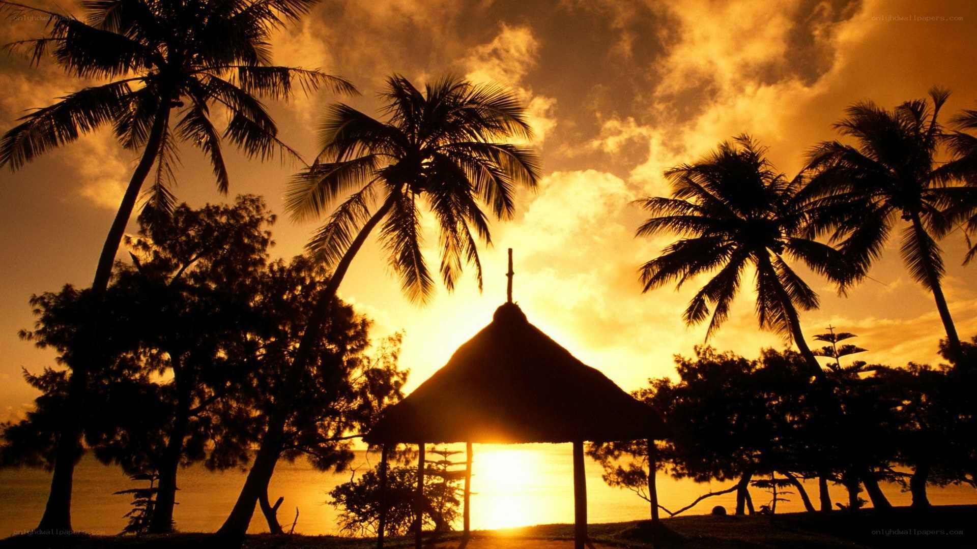 sunset at tropical beach