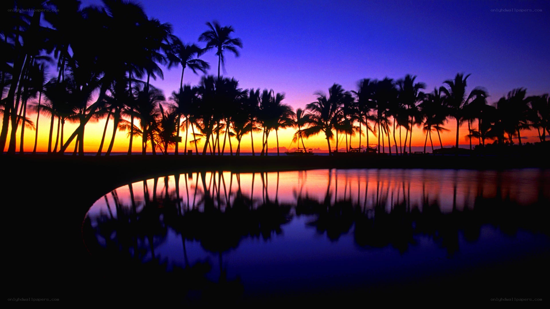 sunset at tropical beach
