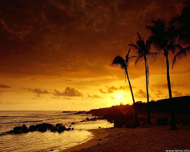 sunset at tropical beach