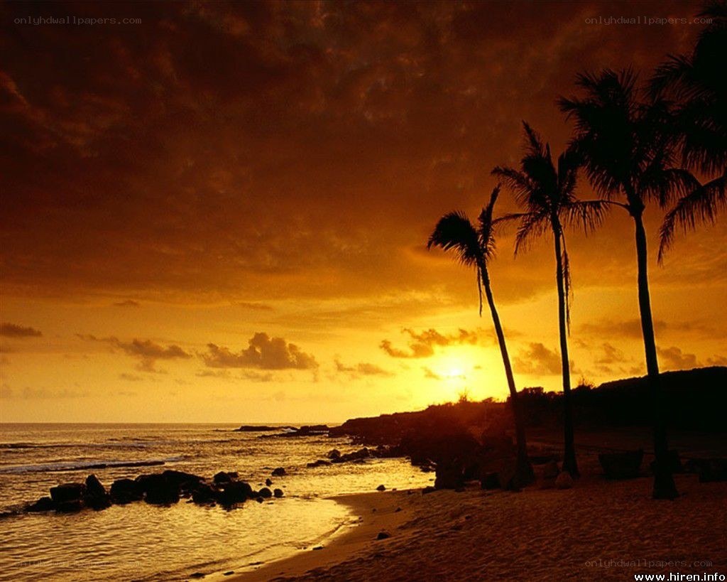 sunset at tropical beach