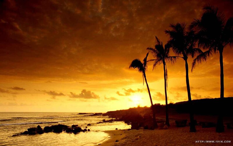 sunset at tropical beach