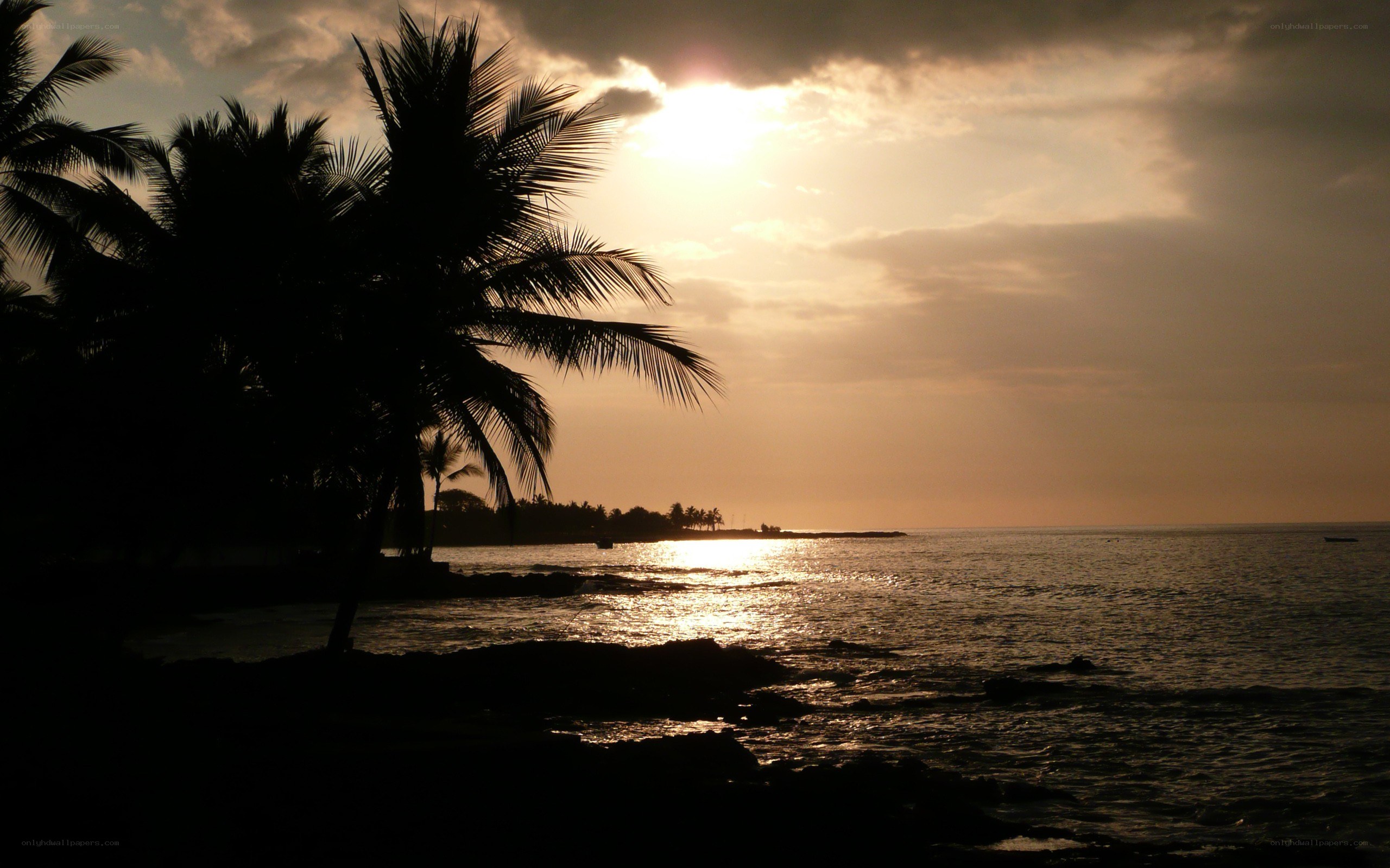 sunset at tropical beach