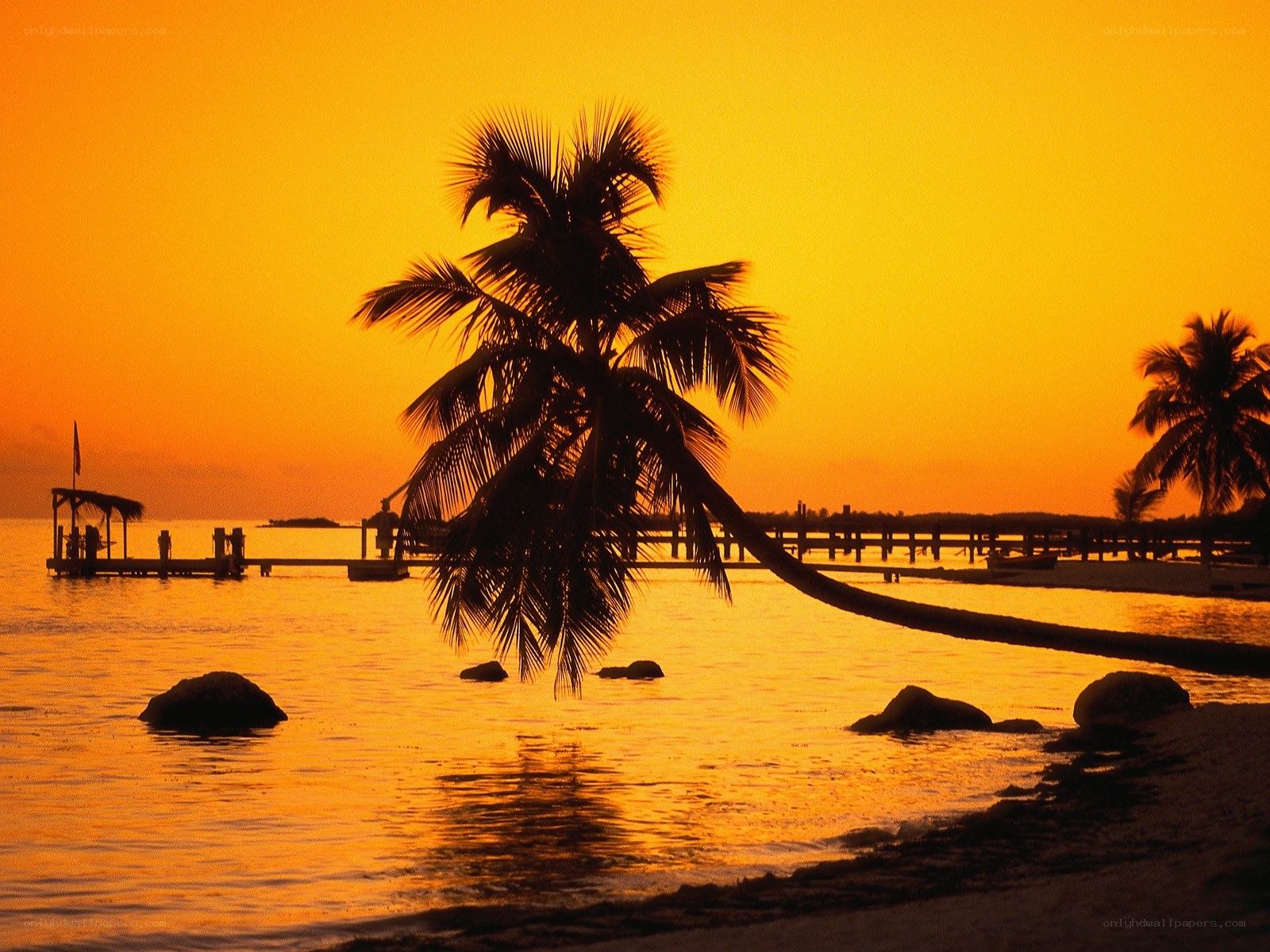 sunset at tropical beach