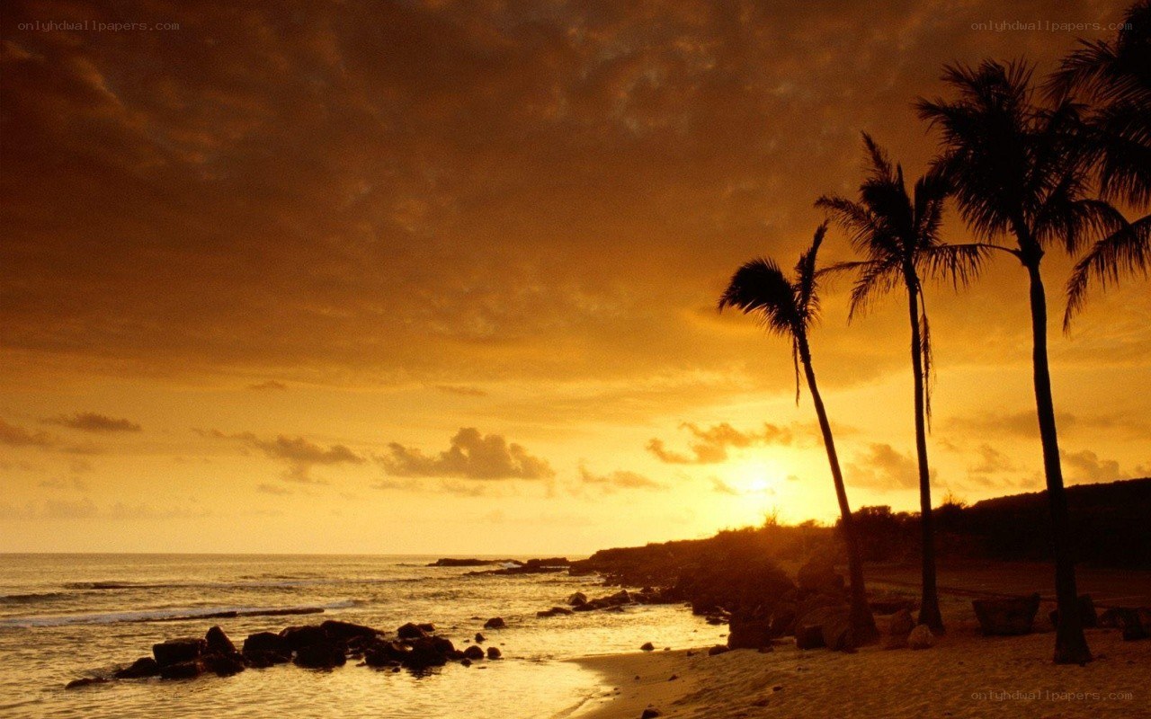 sunset at tropical beach