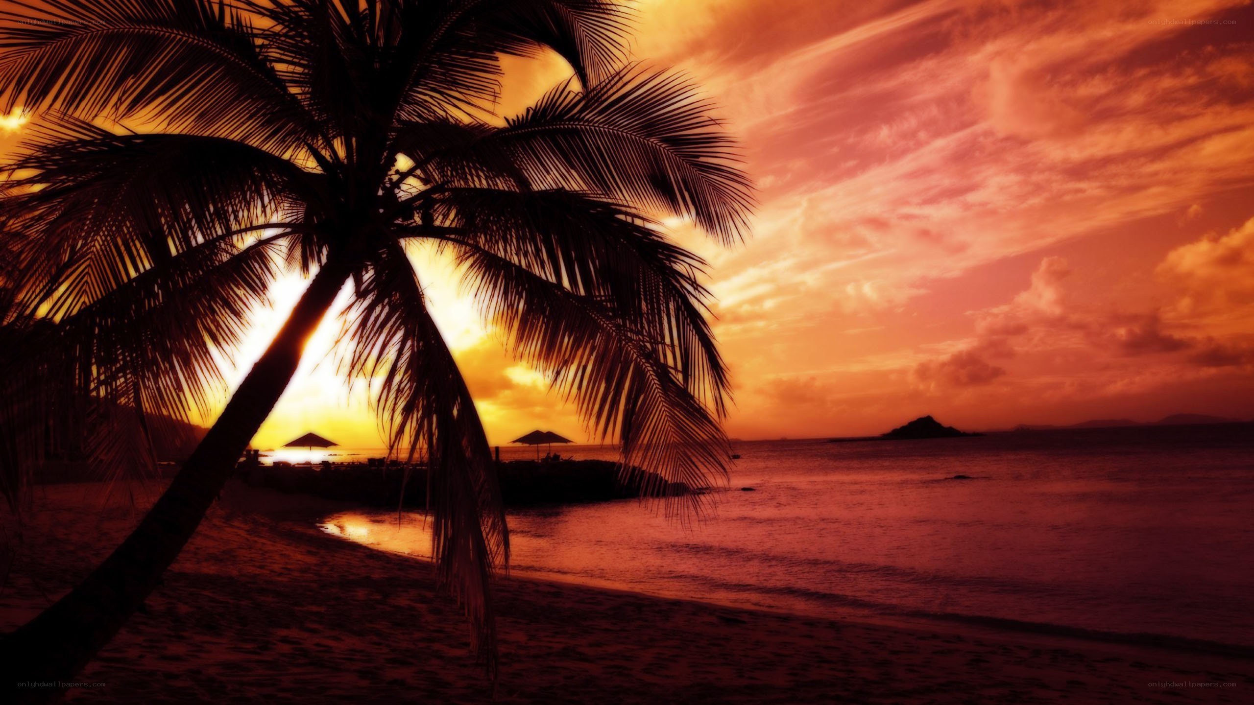 sunset at tropical beach