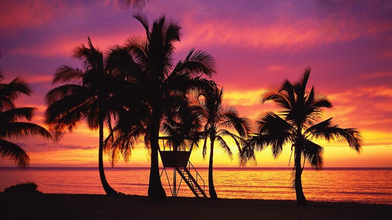 sunset at tropical beach