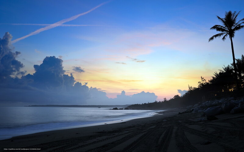 Sunset at Tropical Beach — Blue, Serene, Photograph, Palm Tree, Clouds