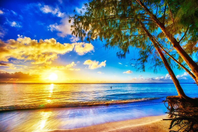 Sunset at Tropical Beach — Blue, Serene, Photograph, Tree