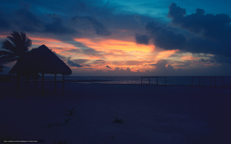 Sunset at Tropical Beach — Blue