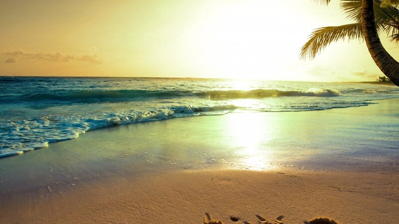 Sunset at Tropical Beach — Gold, Serene